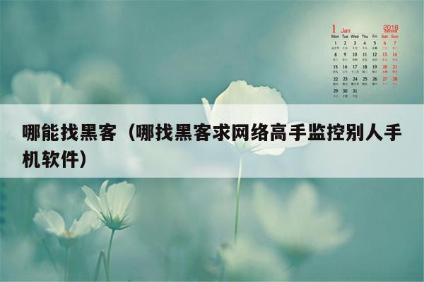 哪能找黑客（哪找黑客求网络高手监控别人手机软件）