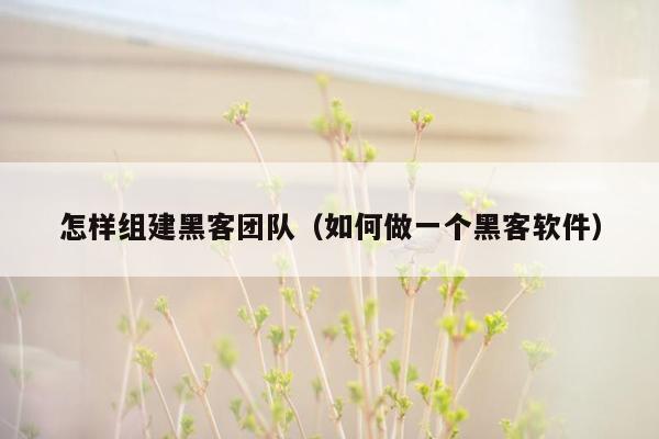 怎样组建黑客团队（如何做一个黑客软件）