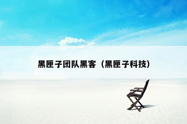 黑匣子团队黑客（黑匣子科技）