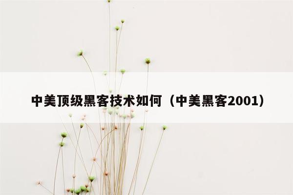 中美顶级黑客技术如何（中美黑客2001）