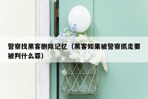 警察找黑客删除记忆（黑客如果被警察抓走要被判什么罪）