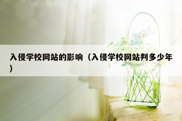 入侵学校网站的影响（入侵学校网站判多少年）