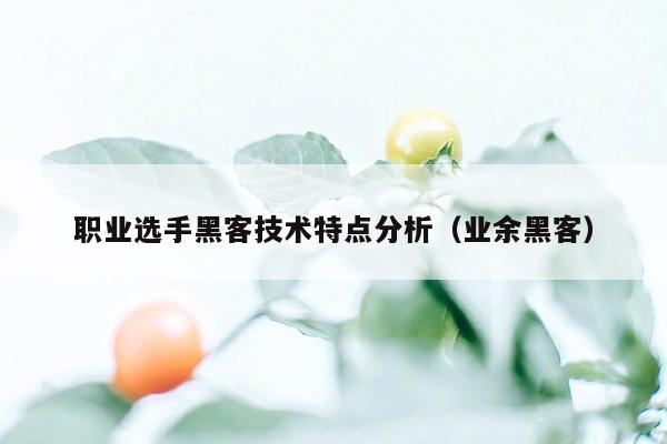 职业选手黑客技术特点分析（业余黑客）