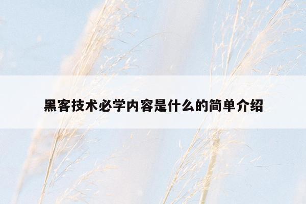 黑客技术必学内容是什么的简单介绍