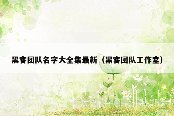 黑客团队名字大全集最新（黑客团队工作室）