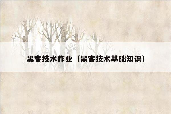 黑客技术作业（黑客技术基础知识）