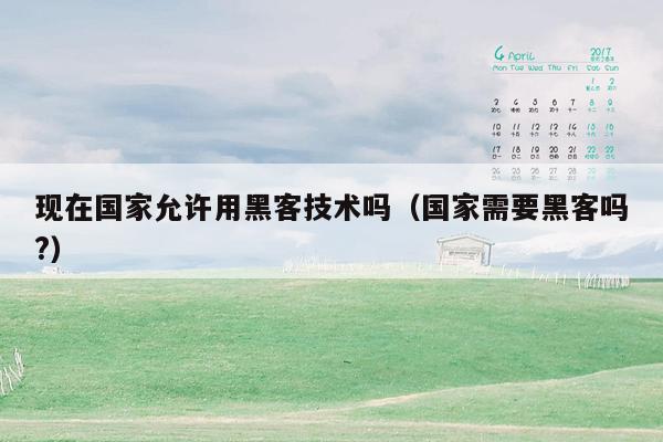现在国家允许用黑客技术吗（国家需要黑客吗?）