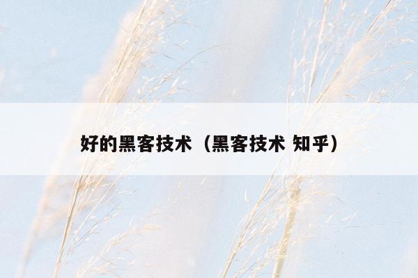 好的黑客技术（黑客技术 知乎）