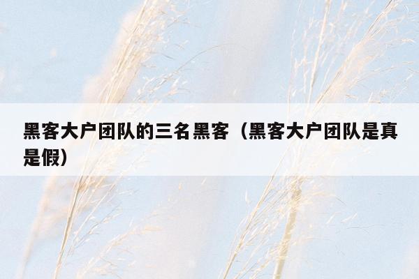 黑客大户团队的三名黑客（黑客大户团队是真是假）
