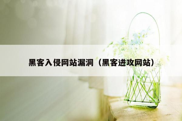 黑客入侵网站漏洞（黑客进攻网站）