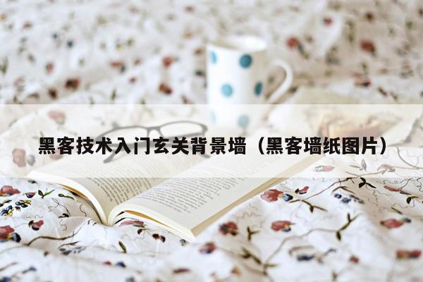 黑客技术入门玄关背景墙（黑客墙纸图片）