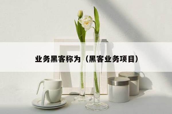 业务黑客称为（黑客业务项目）