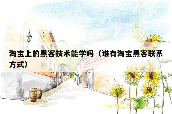 淘宝上的黑客技术能学吗（谁有淘宝黑客联系方式）