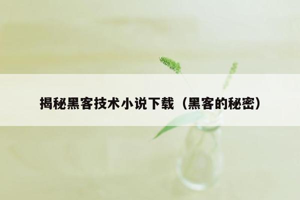 揭秘黑客技术小说下载（黑客的秘密）