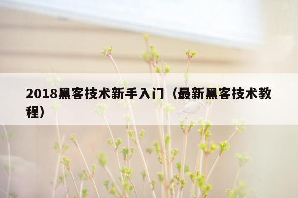 2018黑客技术新手入门（最新黑客技术教程）