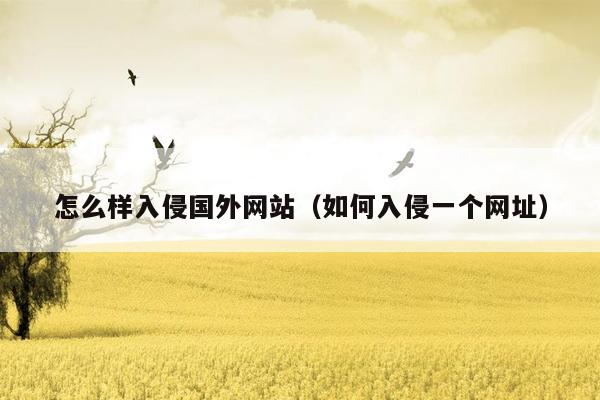 怎么样入侵国外网站（如何入侵一个网址）
