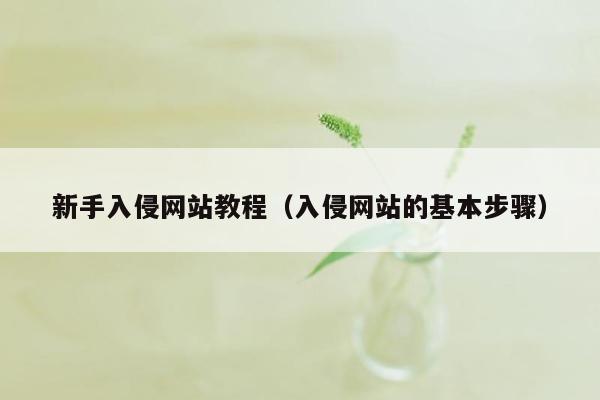 新手入侵网站教程（入侵网站的基本步骤）