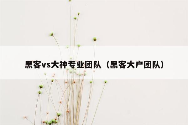 黑客vs大神专业团队（黑客大户团队）
