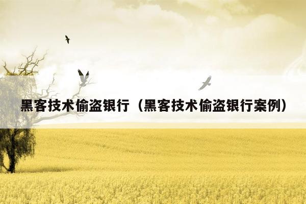黑客技术偷盗银行（黑客技术偷盗银行案例）
