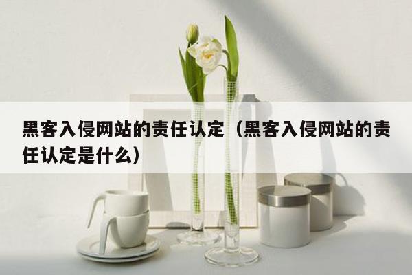 黑客入侵网站的责任认定（黑客入侵网站的责任认定是什么）