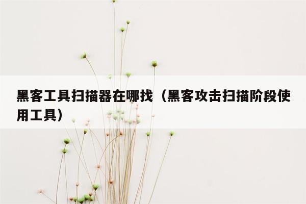 黑客工具扫描器在哪找（黑客攻击扫描阶段使用工具）