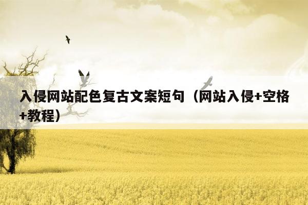 入侵网站配色复古文案短句（网站入侵+空格+教程）