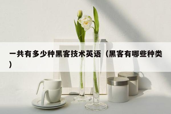 一共有多少种黑客技术英语（黑客有哪些种类）