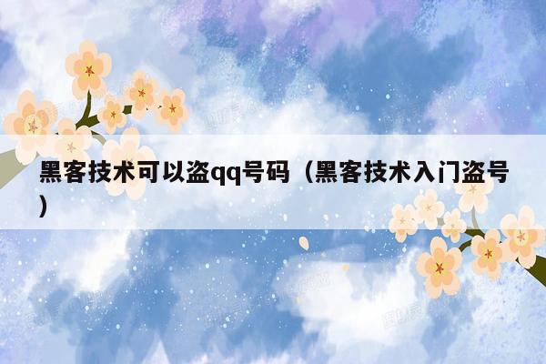 黑客技术可以盗qq号码（黑客技术入门盗号）