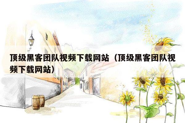 顶级黑客团队视频下载网站（顶级黑客团队视频下载网站）