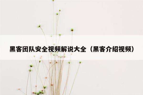 黑客团队安全视频解说大全（黑客介绍视频）