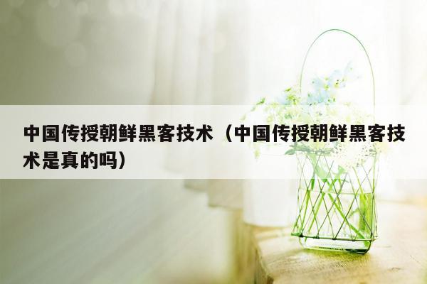 中国传授朝鲜黑客技术（中国传授朝鲜黑客技术是真的吗）