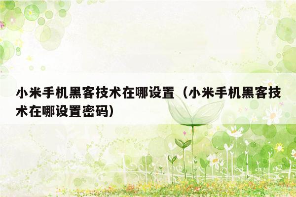 小米手机黑客技术在哪设置（小米手机黑客技术在哪设置密码）