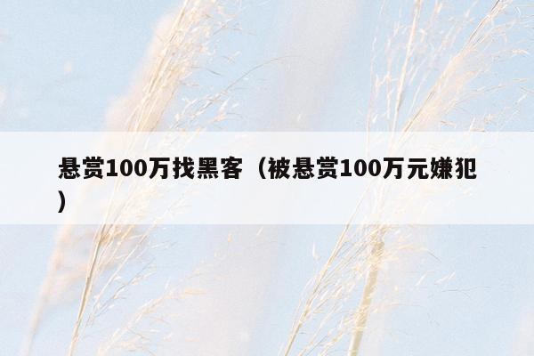 悬赏100万找黑客（被悬赏100万元嫌犯）