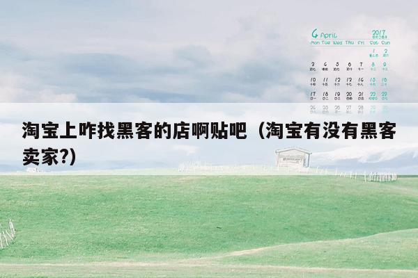 淘宝上咋找黑客的店啊贴吧（淘宝有没有黑客卖家?）