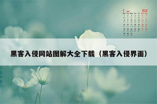 黑客入侵网站图解大全下载（黑客入侵界面）