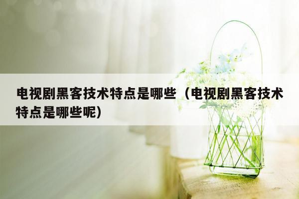 电视剧黑客技术特点是哪些（电视剧黑客技术特点是哪些呢）