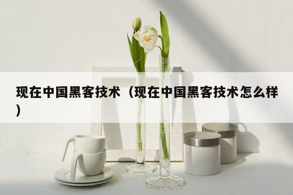现在中国黑客技术（现在中国黑客技术怎么样）