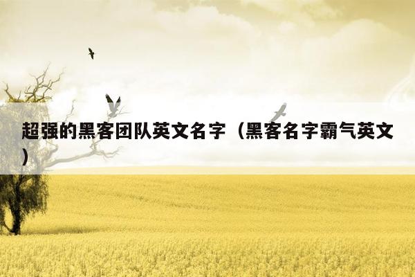 超强的黑客团队英文名字（黑客名字霸气英文）