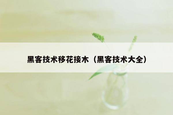 黑客技术移花接木（黑客技术大全）