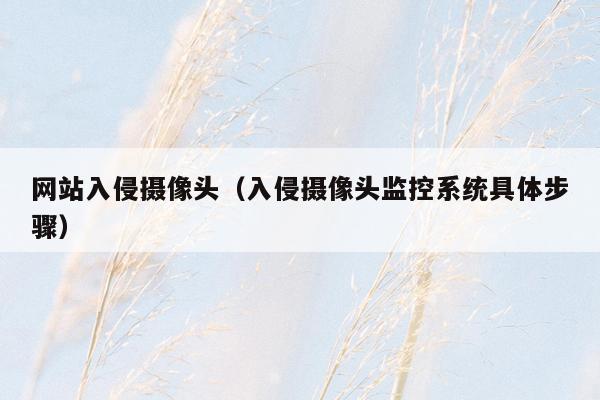 网站入侵摄像头（入侵摄像头监控系统具体步骤）