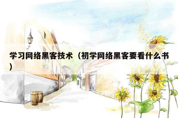 学习网络黑客技术（初学网络黑客要看什么书）