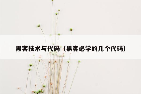 黑客技术与代码（黑客必学的几个代码）