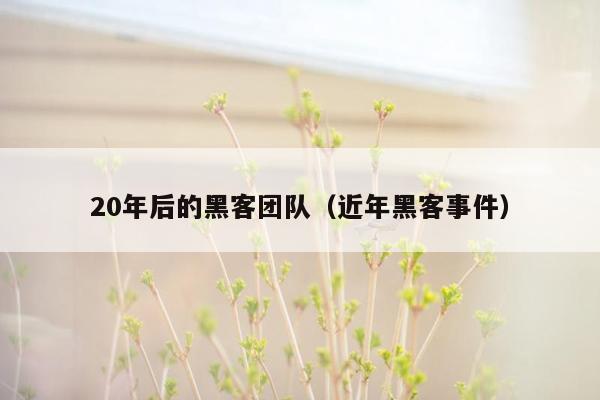 20年后的黑客团队（近年黑客事件）
