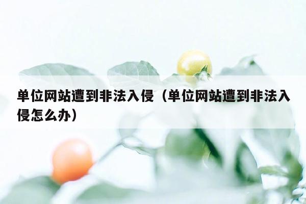 单位网站遭到非法入侵（单位网站遭到非法入侵怎么办）