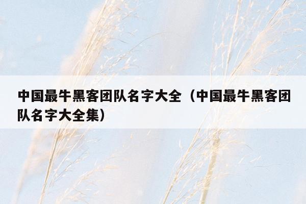 中国最牛黑客团队名字大全（中国最牛黑客团队名字大全集）