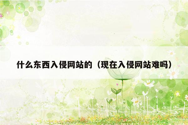 什么东西入侵网站的（现在入侵网站难吗）