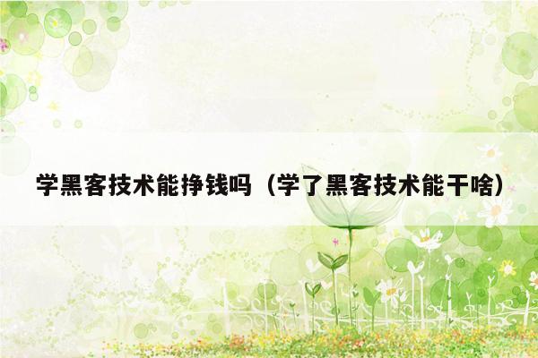 学黑客技术能挣钱吗（学了黑客技术能干啥）