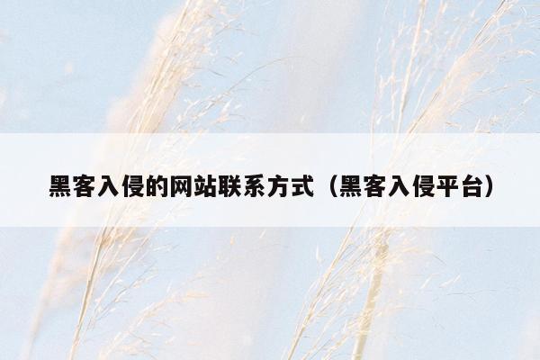 黑客入侵的网站联系方式（黑客入侵平台）