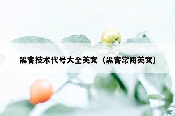 黑客技术代号大全英文（黑客常用英文）