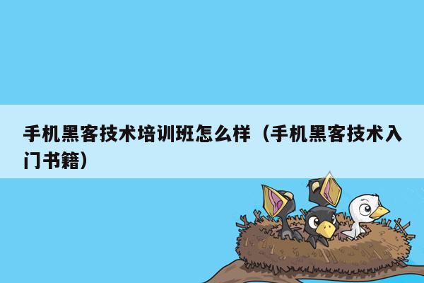 手机黑客技术培训班怎么样（手机黑客技术入门书籍）